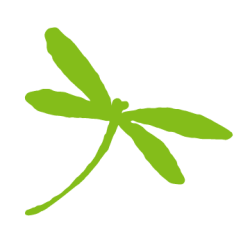 Miracle_Clubhouse_Dragonfly.png
